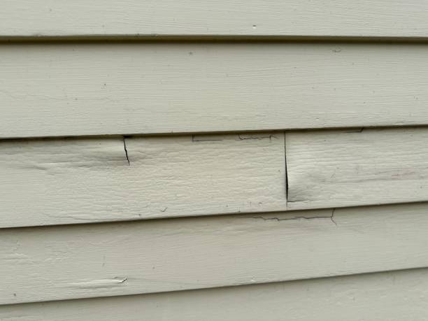 Affordable Siding Repair and Maintenance Services in Water Valley, MS